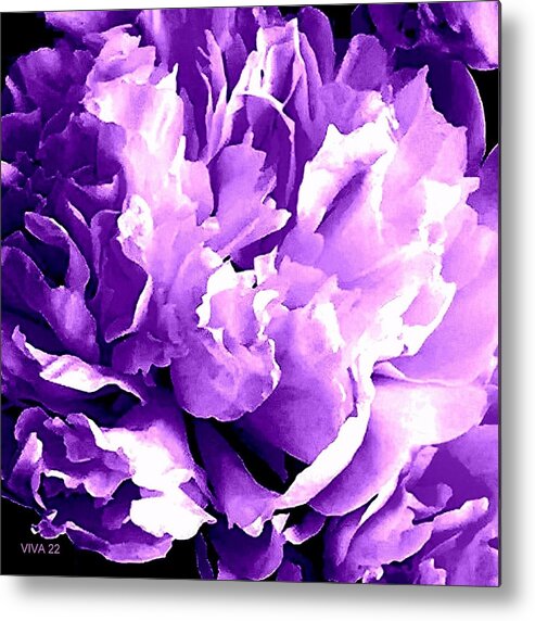 Peony Metal Print featuring the photograph Purple Peony Party by VIVA Anderson
