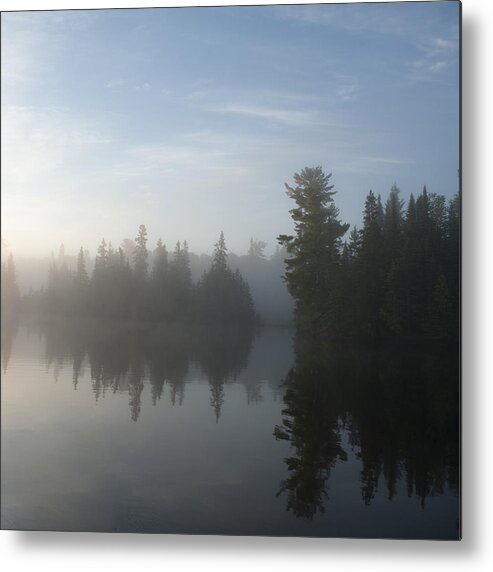 Dawn Metal Print featuring the photograph Reflection of tree in a lake by Fotosearch