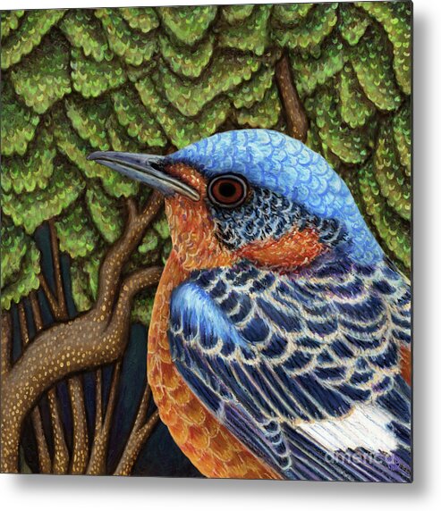 Bird Metal Print featuring the painting Rock Thrush Forest by Amy E Fraser