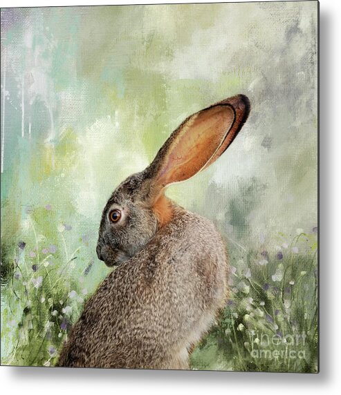 Scrub Hare Metal Print featuring the photograph Scrub Hare3 by Eva Lechner