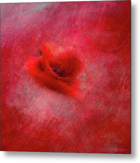 Poppy Metal Print featuring the photograph Seeing RED-Muted Love by Cheri Freeman