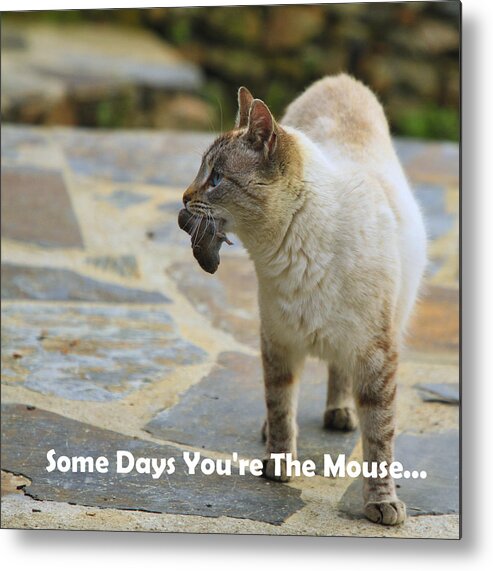 Some Days You're The Mouse Metal Print featuring the photograph Some Days You're The Mouse by Gene Taylor