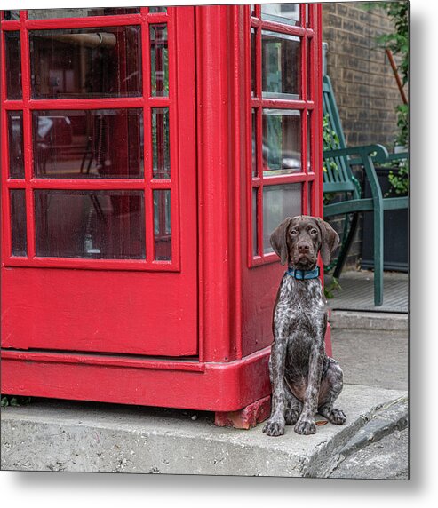 Phone Metal Print featuring the photograph Something to Talk About by Douglas Wielfaert