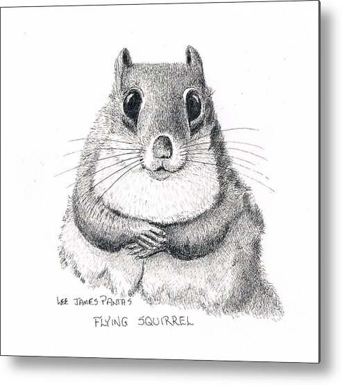 Squirrel Metal Print featuring the drawing Southern Flying Squirrel by Lee Pantas