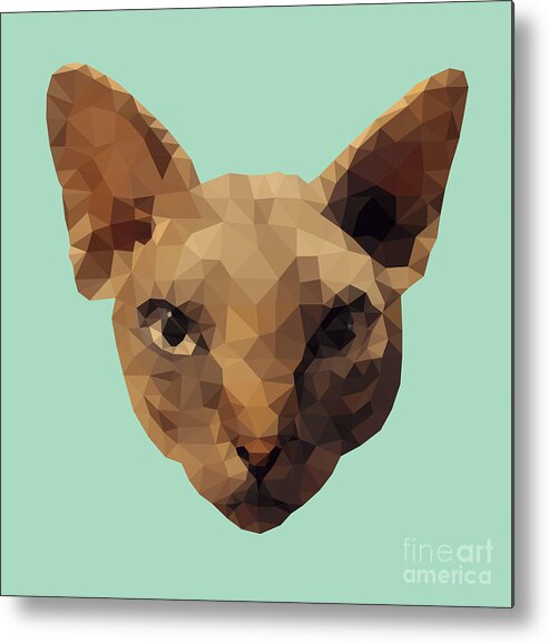 Sphynx Metal Print featuring the digital art Sphynx Cat by Jindra Noewi