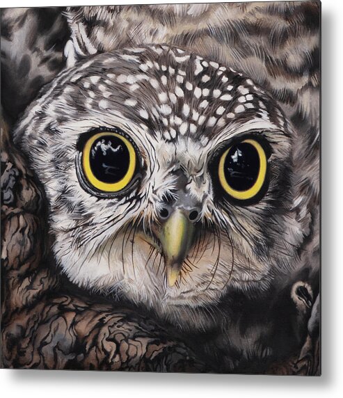 Snarf Metal Print featuring the painting Spotted Owlet by Nikita Coulombe