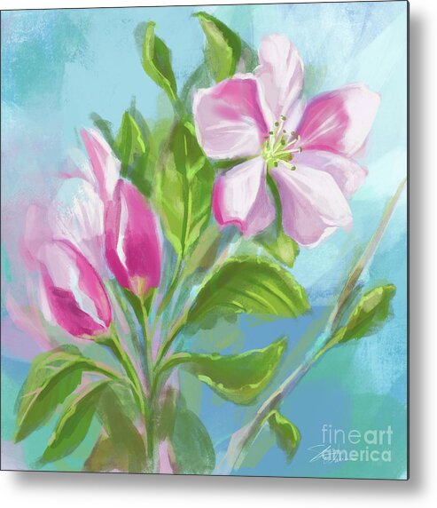 Apple Metal Print featuring the mixed media Springtime Apple Blossoms by Shari Warren