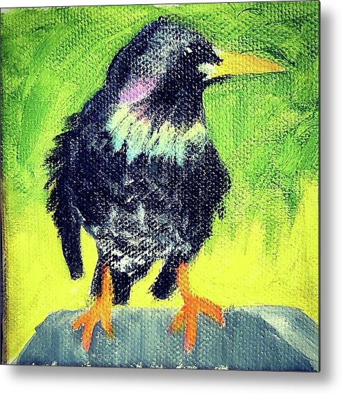  Metal Print featuring the painting Starling by Amy Kuenzie