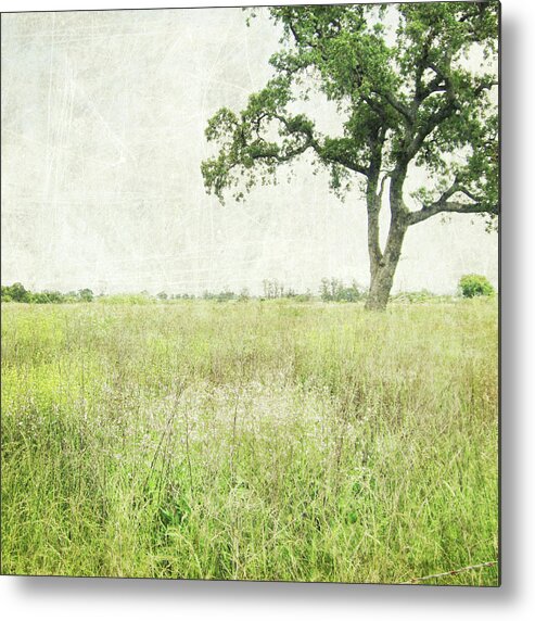 Tree Metal Print featuring the photograph Stay a While by Lupen Grainne