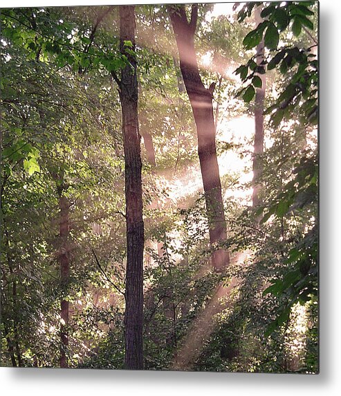 Trees Metal Print featuring the digital art Sun Rays in Virginia by Nancy Olivia Hoffmann