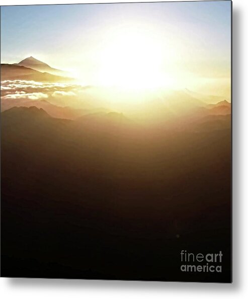Flower Metal Print featuring the photograph sun by Yvonne Padmos