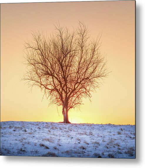 Sunrise Metal Print featuring the photograph Sunrise And Snow Tupelo Mississippi by Jordan Hill