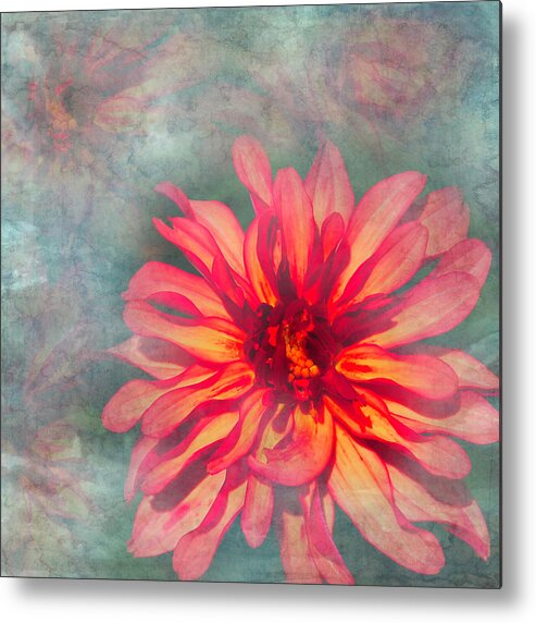 Dahlia Metal Print featuring the photograph Textured Dahlia by Aimee L Maher ALM GALLERY