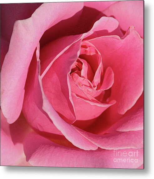 Rose; Roses; Flowers; Flower; Floral; Flora; Pink; Pink Rose; Pink Flowers; Digital Art; Photography; Painting; Simple; Decorative; Décor; Macro; Close-up Metal Print featuring the photograph The Beauty of the Rose by Tina Uihlein