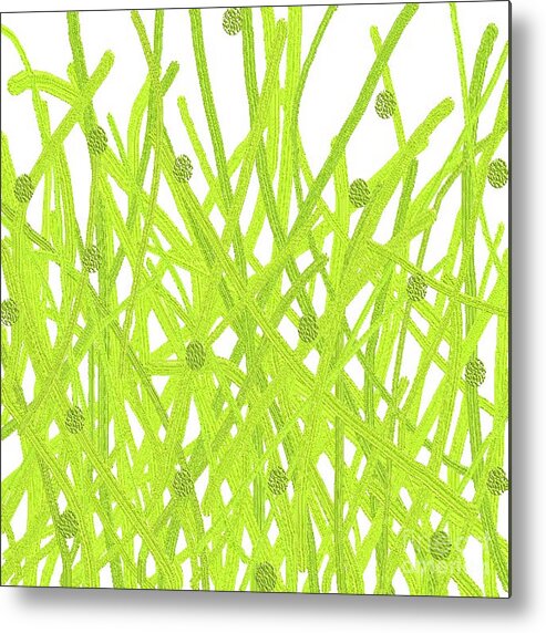 Green Metal Print featuring the digital art The Grass Is Greener by Designs By L
