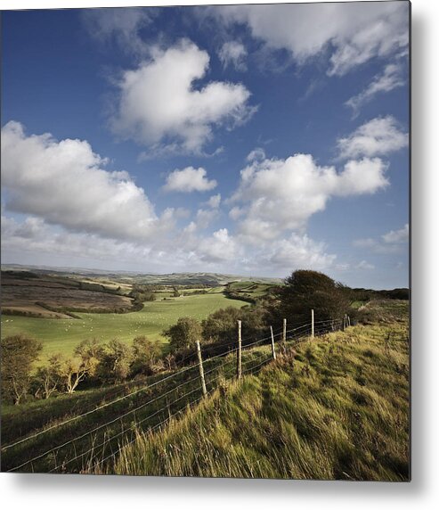 Scenics Metal Print featuring the photograph This green & pleasant land. South Wight Landscape by s0ulsurfing - Jason Swain