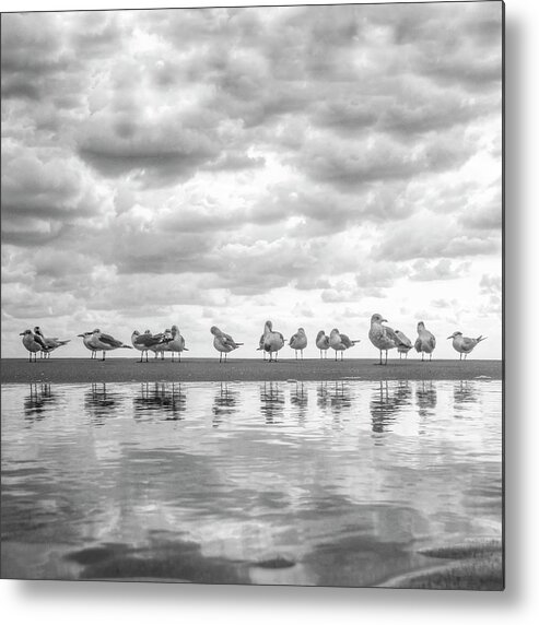 Black Metal Print featuring the photograph Tidal Pools in Square Black and White by Debra and Dave Vanderlaan