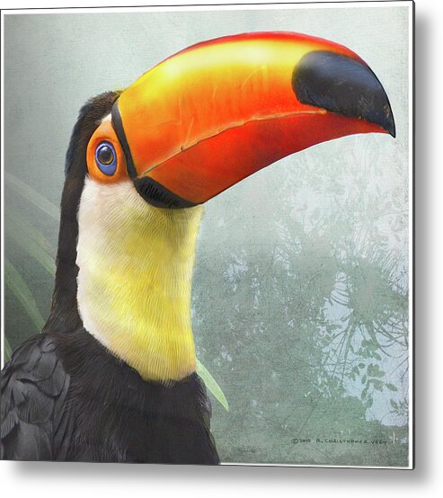 Bird Metal Print featuring the photograph Toucan Portrait by Christopher Vest