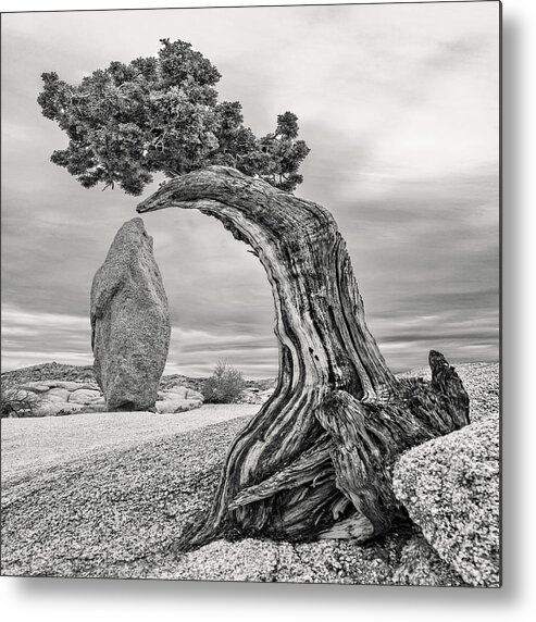 Joshua Tree Metal Print featuring the photograph December 2021 Tree and Obelisk - Re-Edit by Alain Zarinelli