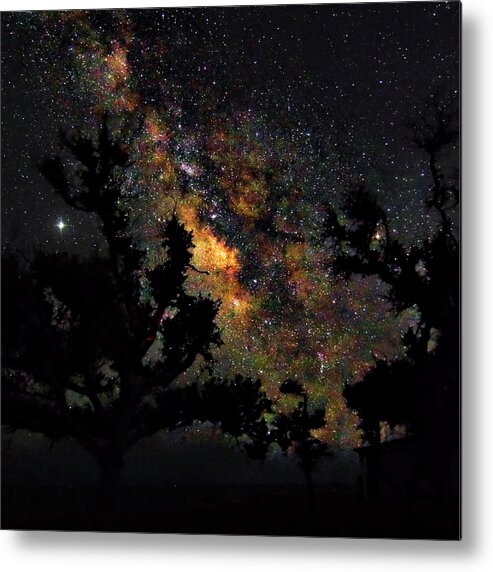 Milky Way Metal Print featuring the photograph Trees Silhouetted by the Milky Way - Harkers Island North Caroli by Bob Decker