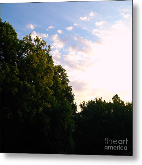 Color Metal Print featuring the photograph Treetop Sunrise by Frank J Casella