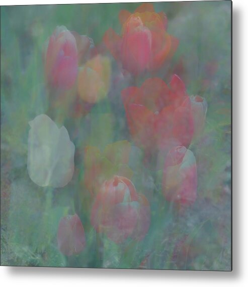 Paintography Metal Print featuring the photograph Tulips by Jerry Abbott