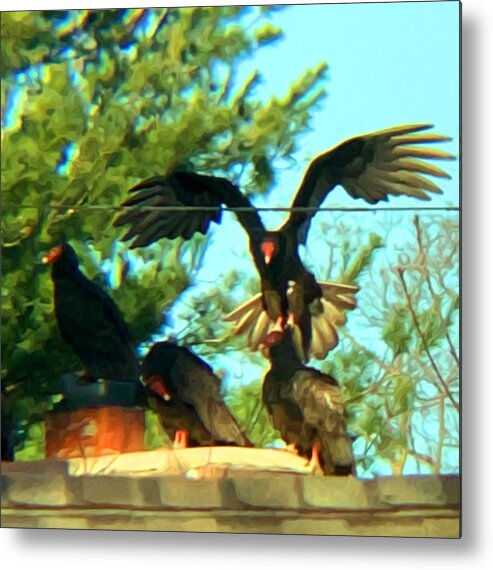 Turkey Vulture Metal Print featuring the mixed media Turkey Vulture Landing by Eileen Backman