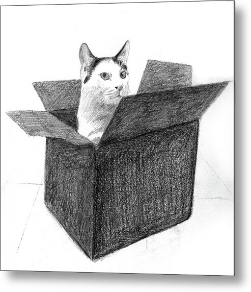 Cat Metal Print featuring the drawing Tuxedo cat in a box by Tim Murphy