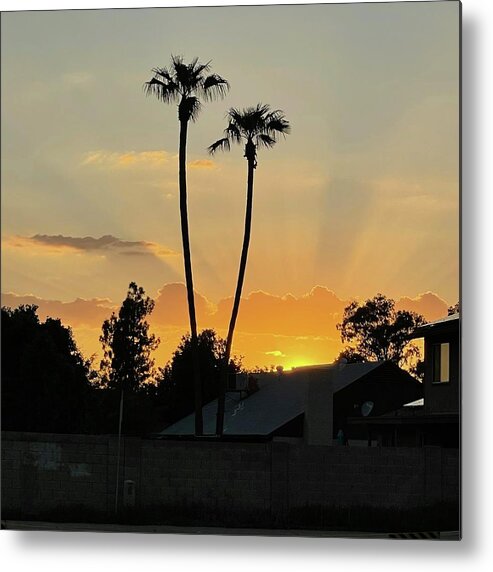 Sunset Metal Print featuring the photograph Twin Palm Sunset by Grey Coopre