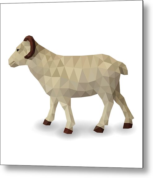 White Background Metal Print featuring the drawing Vector Sheep by Et-artworks
