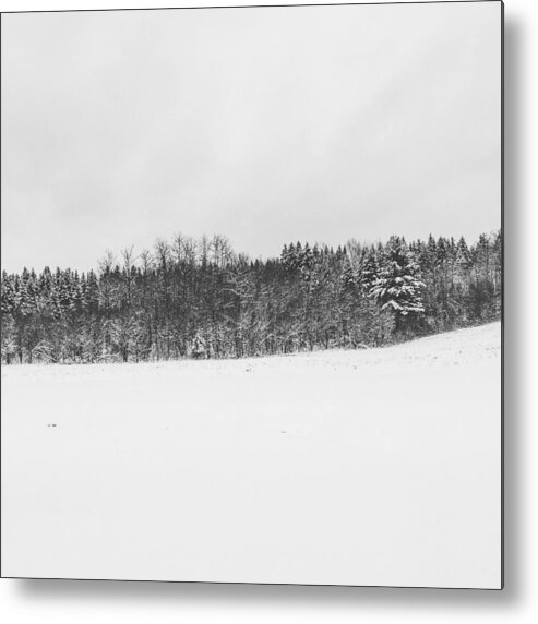 Tranquility Metal Print featuring the photograph View of forest during winter by Marissa Albert / FOAP