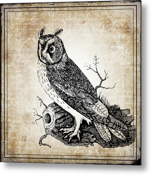 Vintage Metal Print featuring the digital art Vintage Owl by Irene Moriarty
