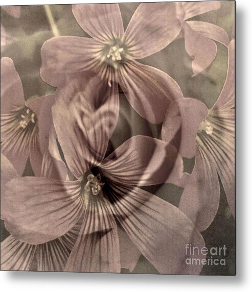 Sepia Metal Print featuring the digital art Vintage Rose and Clover by Glenn Hernandez