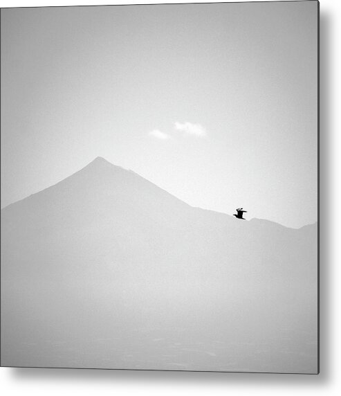 Seagull Metal Print featuring the photograph Volcano and seagull. Teide by Guido Montanes Castillo