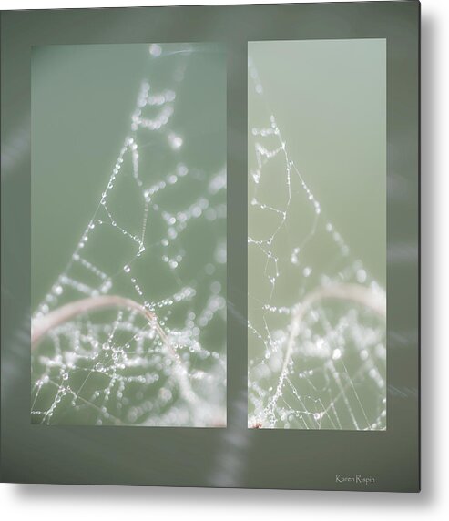 Web Metal Print featuring the photograph Web With Dew by Phil And Karen Rispin