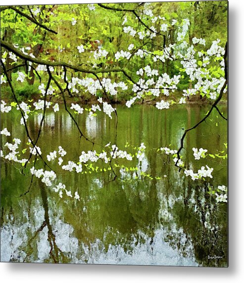 Pamela Storch Metal Print featuring the digital art White Flower Blossoms by the Pond by Pamela Storch