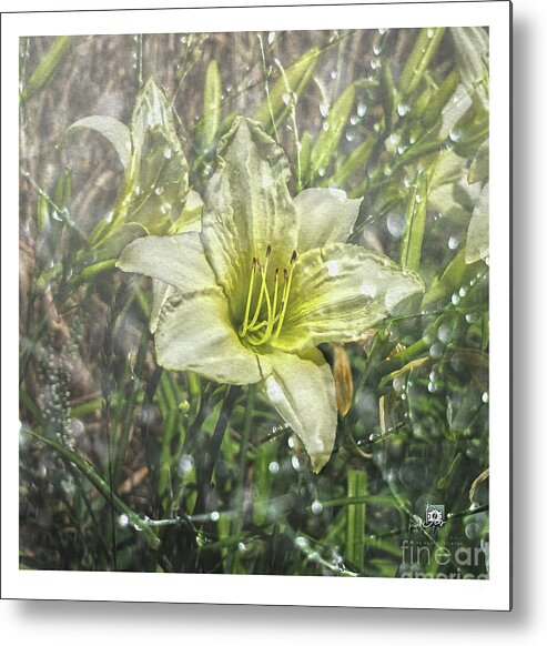 Flower Metal Print featuring the digital art white flower in Rain by Deb Nakano