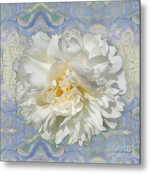 Art Metal Print featuring the photograph White Peony by Jeannie Rhode