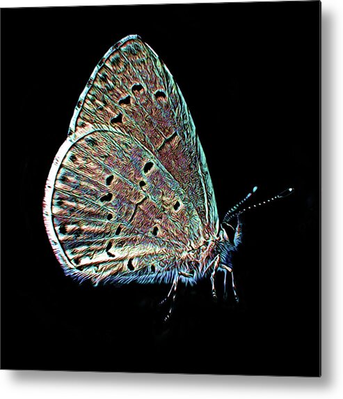 Art Metal Print featuring the digital art Wild Butterfly on Black Background by Artful Oasis