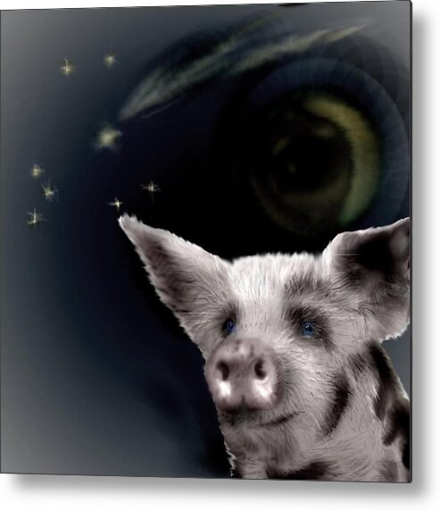 Pig Stars Shooting Stars Blue Eyed Metal Print featuring the mixed media Wishing Piggy by Pamela Calhoun