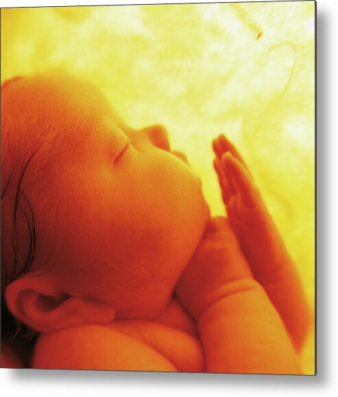 Color Metal Print featuring the photograph Womb Series #4 by Anne Geddes