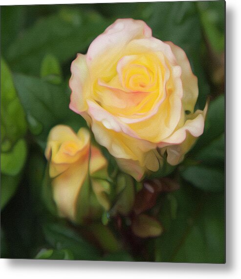 Yellow Rose Metal Print featuring the photograph Yellow Rose by Theresa Tahara