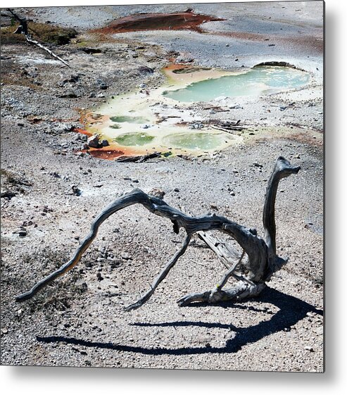 Thermal Metal Print featuring the photograph Yellowstone Geyser Pools 2 by Marilyn Hunt