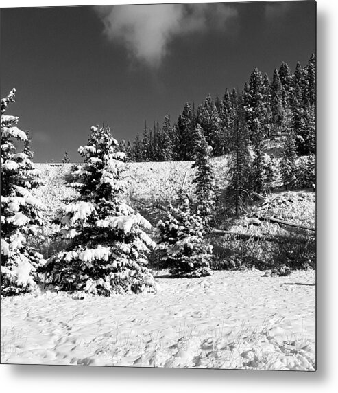 National Park Metal Print featuring the photograph Yellowstone Winter by Bill Hamilton