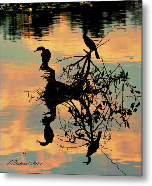 Anhingas Metal Print featuring the photograph Anhingas Reflecting by Allan Einhorn