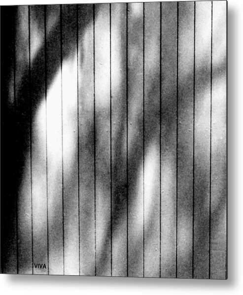 Wood Fence Metal Print featuring the photograph Shadowland by VIVA Anderson