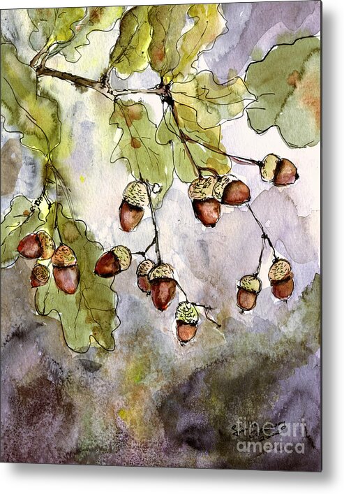 Acorns Metal Print featuring the painting Botanical Acorns and Oak Leaves by Ginette Callaway