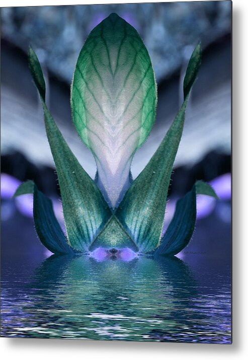 Plant Metal Print featuring the photograph Spearit Rising by WB Johnston