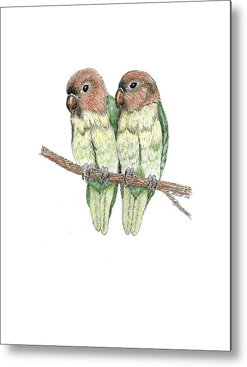 Lovebird Metal Print featuring the drawing Lovebirds by Richard Freshour