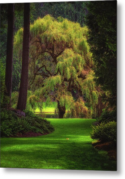 Bloedel Metal Print featuring the photograph Bloedel Reserve by Thomas Hall